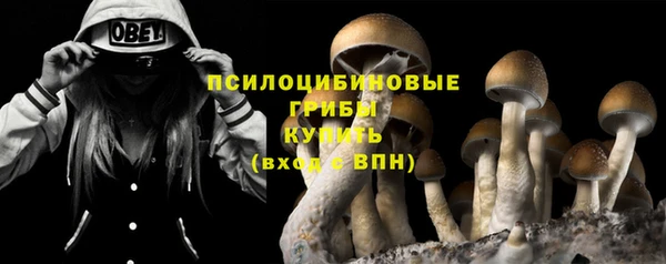 мяу мяу мука Алексеевка