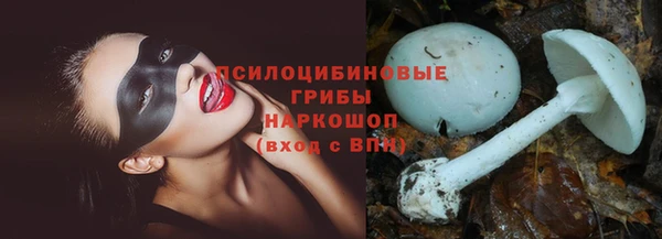 твердый Алексин