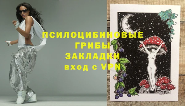 а пвп мука Алзамай