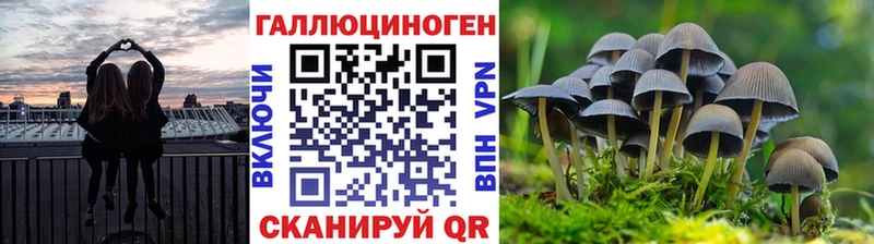 Псилоцибиновые грибы Magic Shrooms Приморск